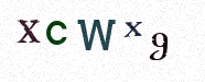 Visual Bestätigung Security Code