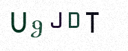 Visual Bestätigung Security Code