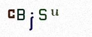 Visual Bestätigung Security Code